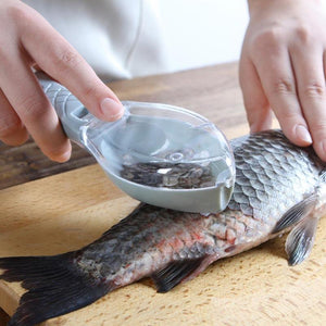 Fish Scraping Device