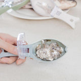 Fish Scraping Device